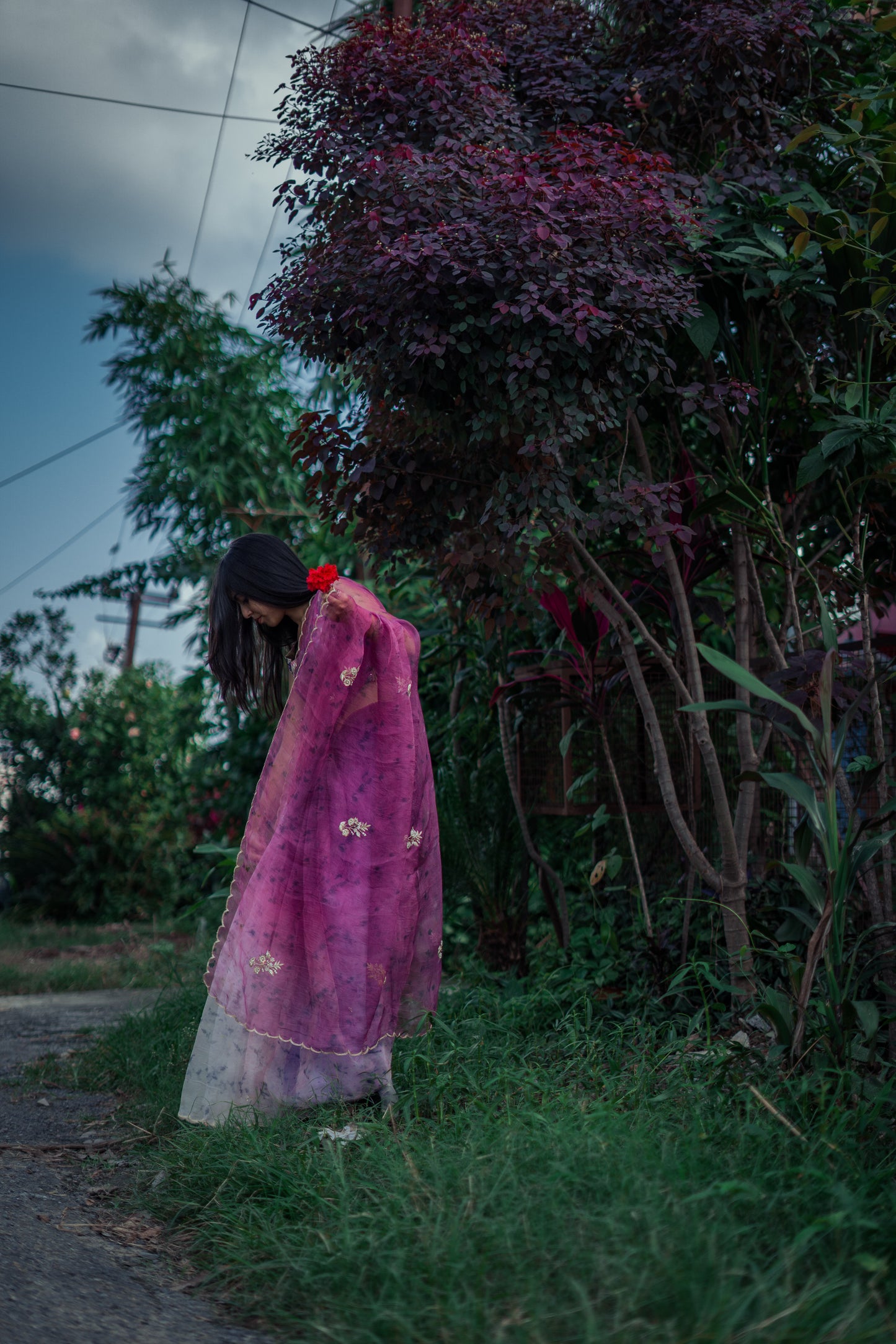 Natural Flower Dyed Jamun Hand Embroidered Organza Silk Saree
