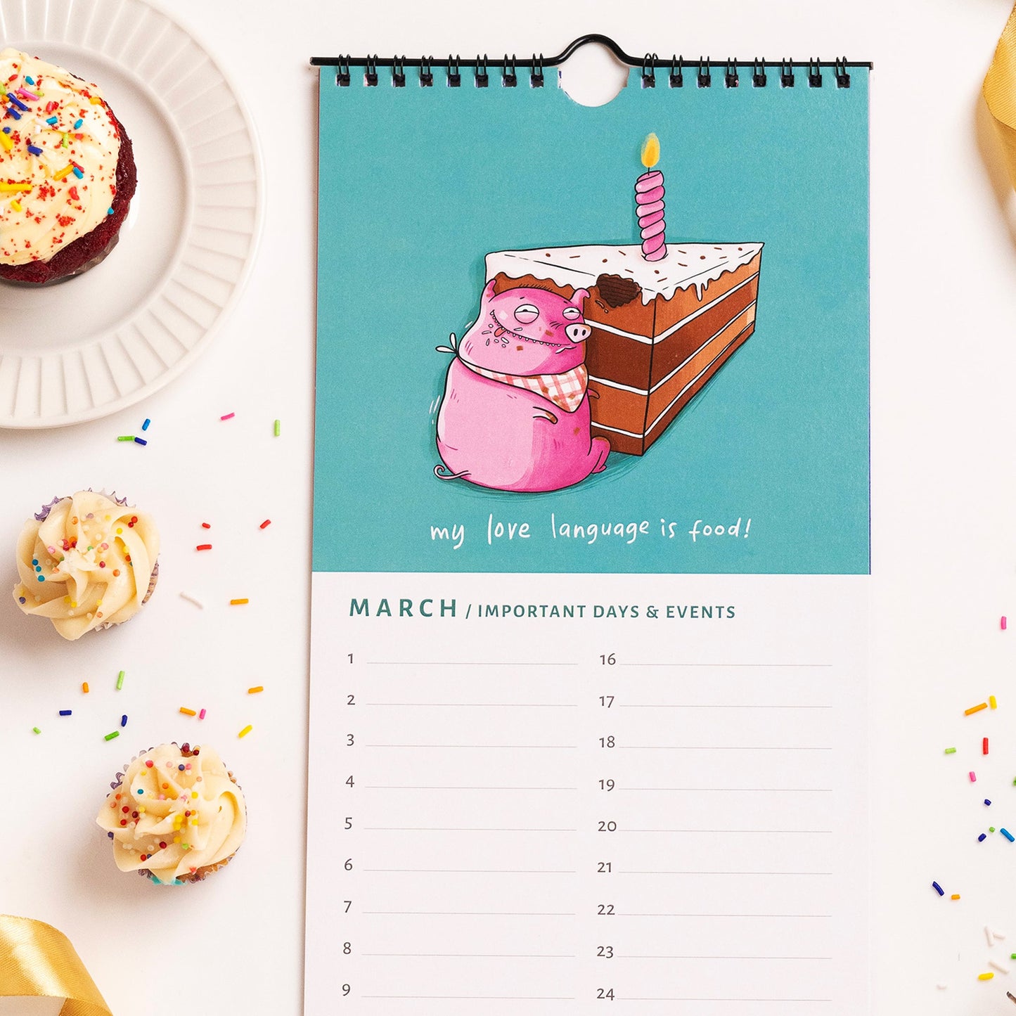 2025 No Fuss Mega Bundle