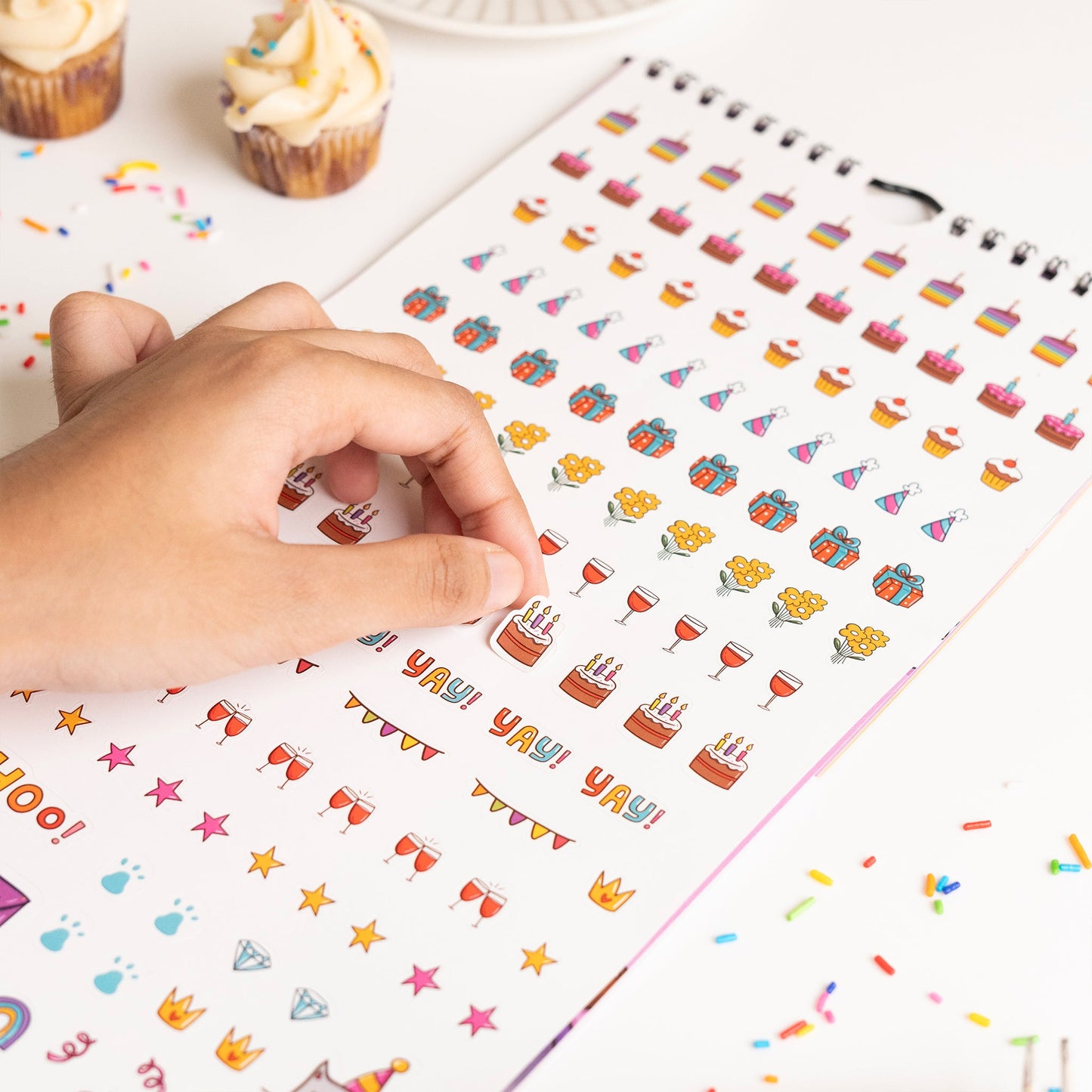 2025 No Fuss Mega Bundle