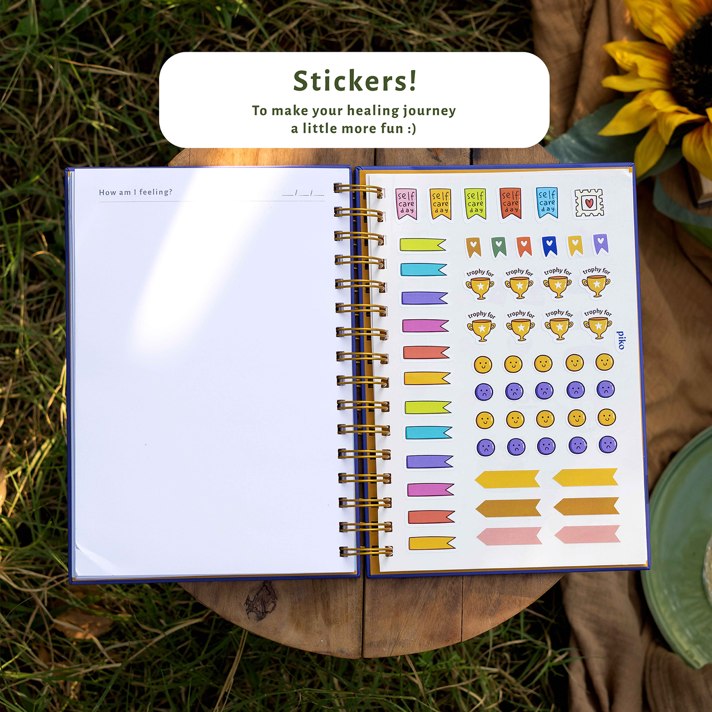 2025 No Fuss Mega Bundle