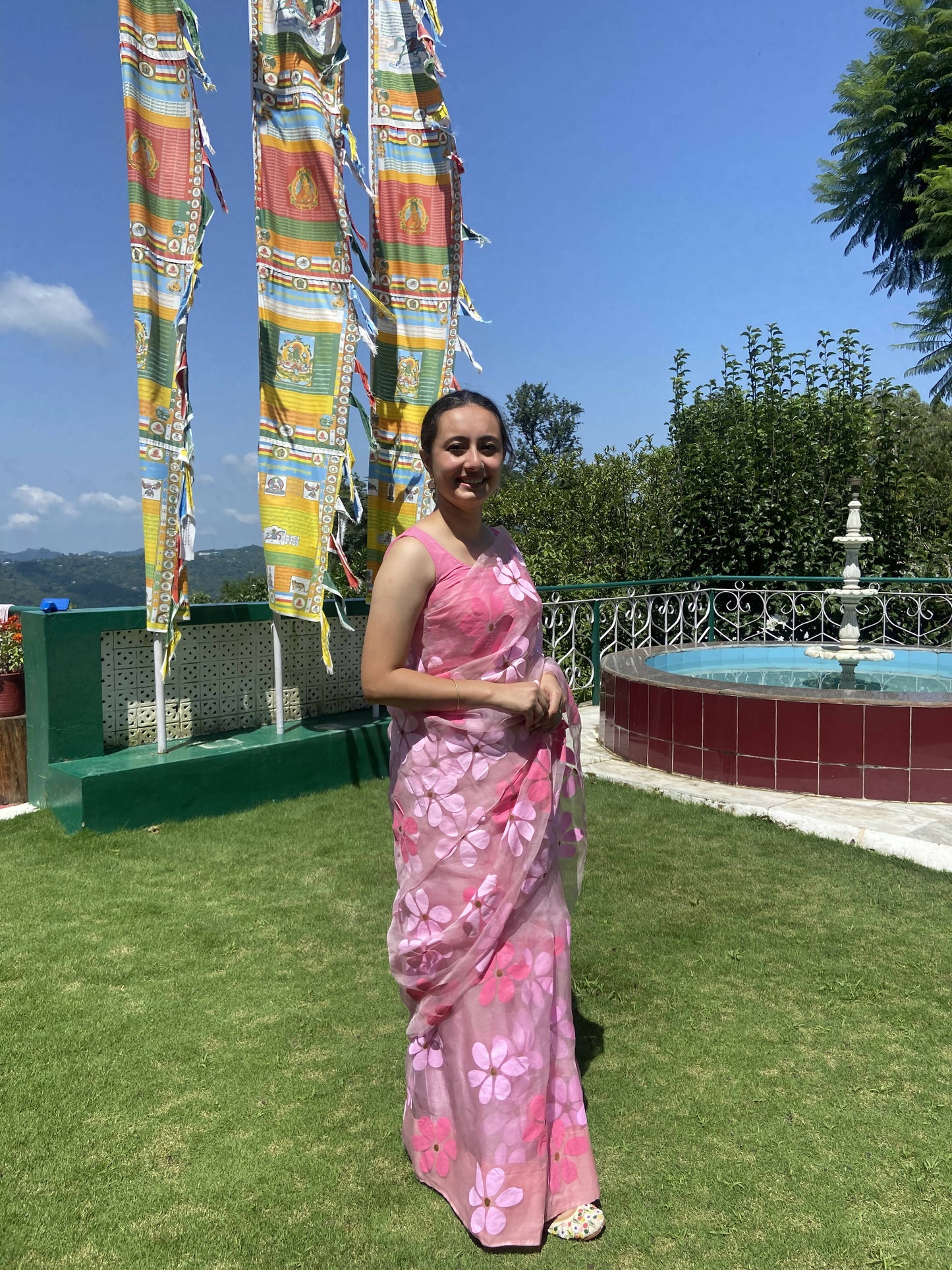 Riko- Pink Handpainted Organza Saree
