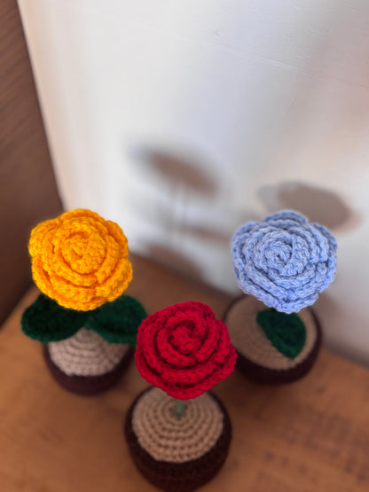 Rose Crochet Pot