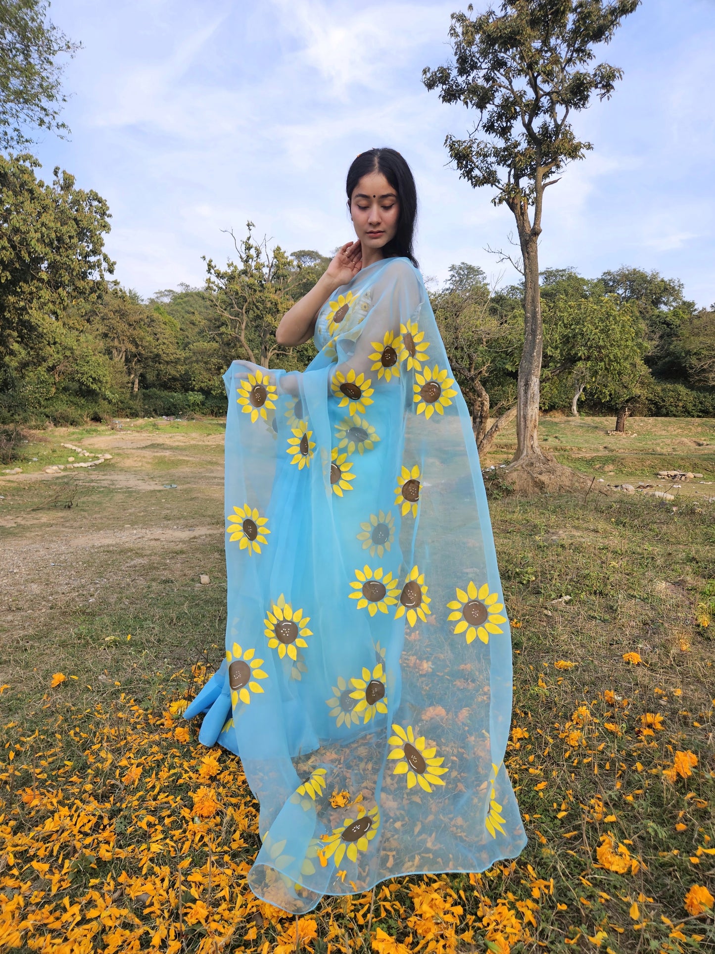 Himawari Organza Handpainted Blue Saree