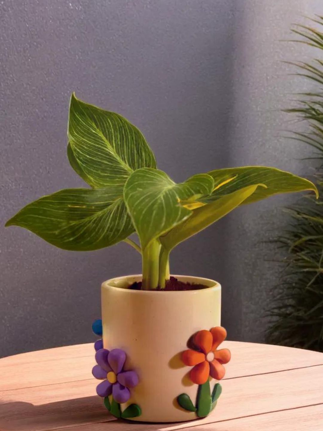 Bloom Boom Ceramic Planter