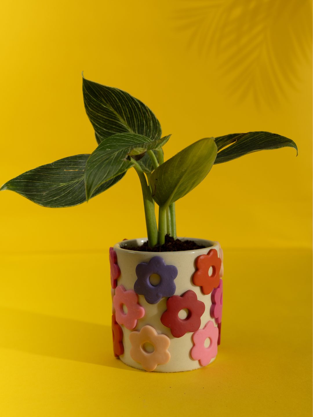 Flower Power Ceramic planter