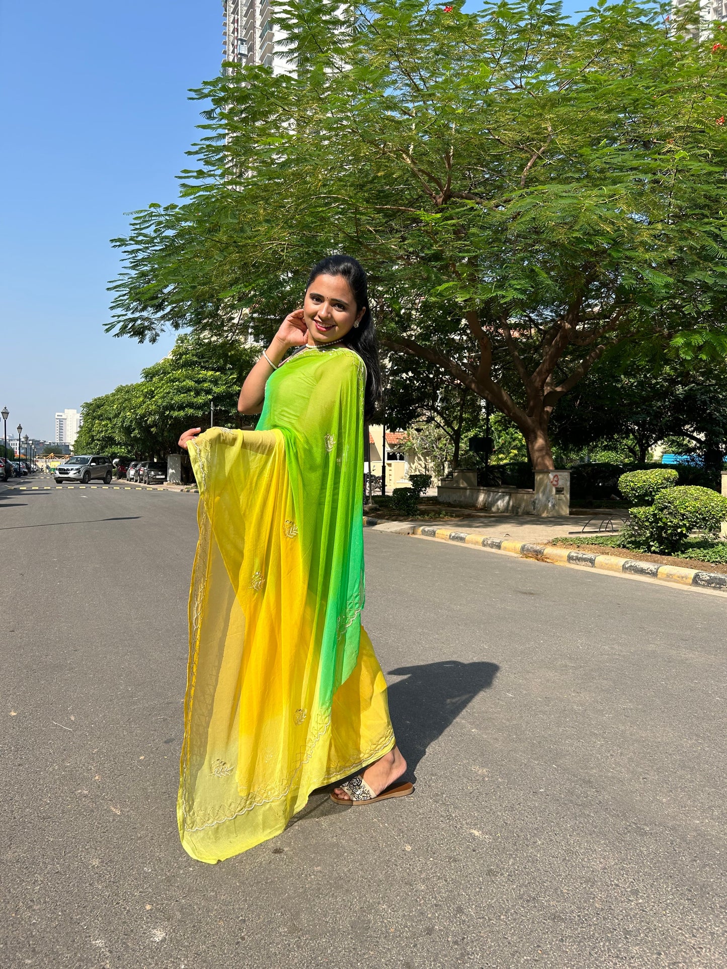 Ombre Chiffon Saree