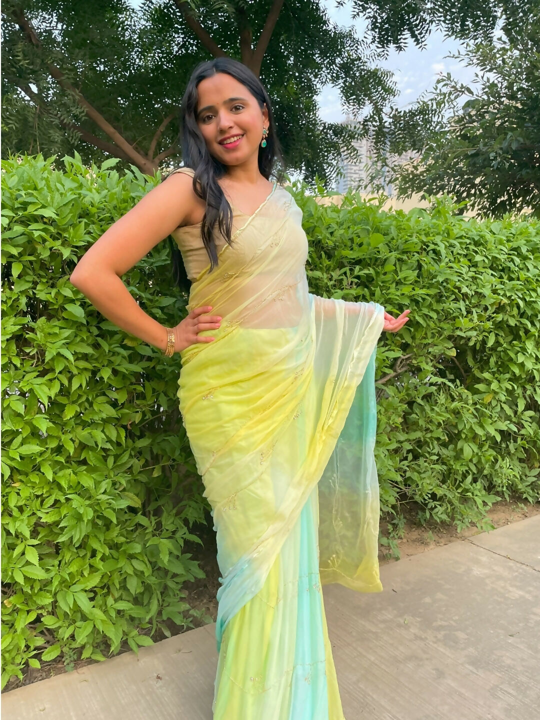 Rani Zari Chiffon Saree