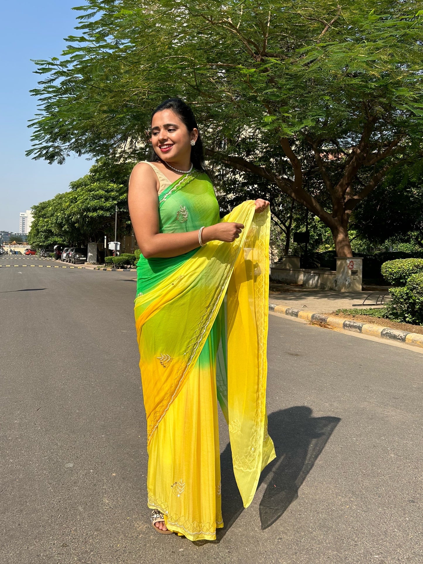 Ombre Chiffon Saree