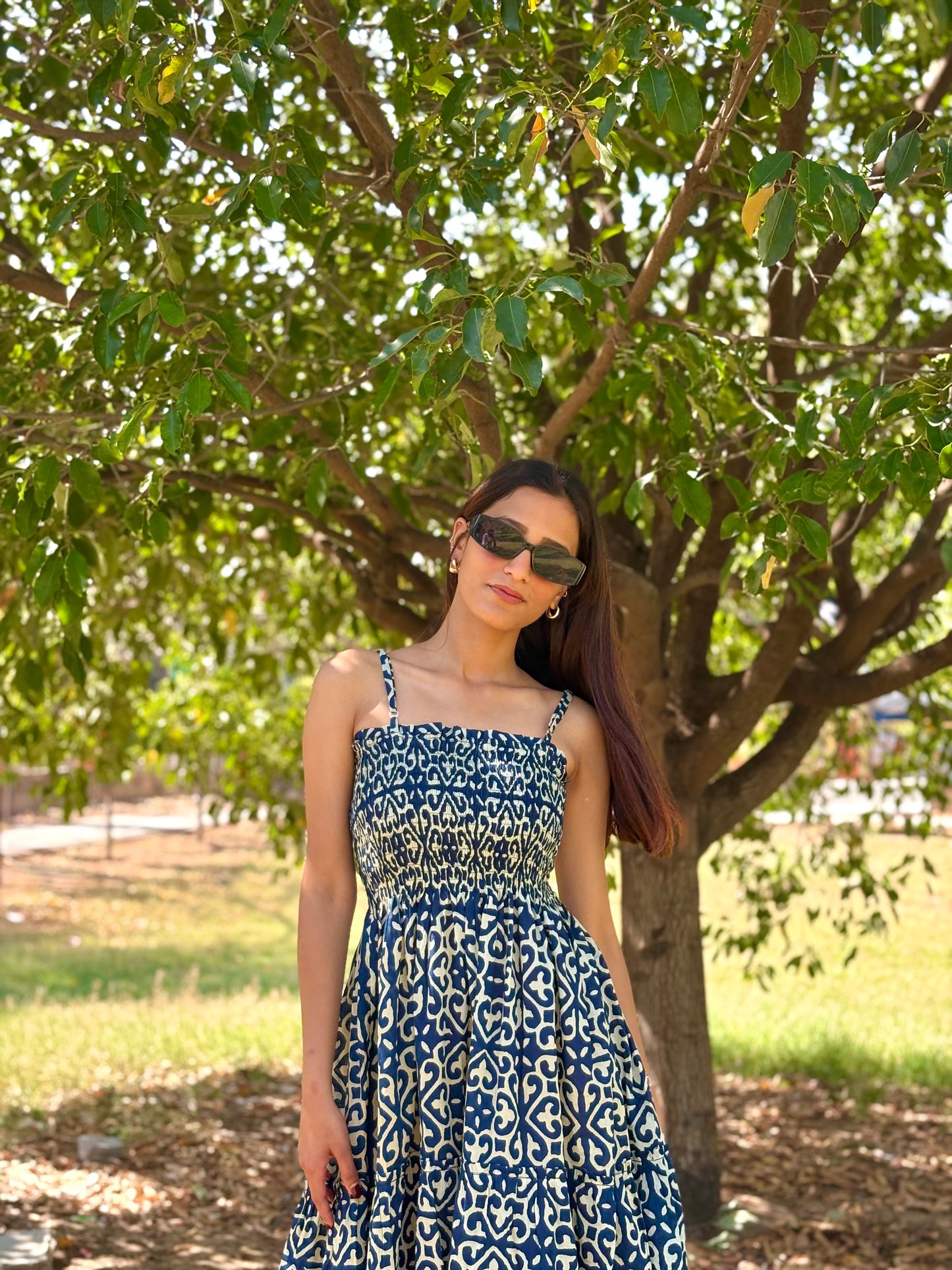 Blue Horizon Printed Navy Dress