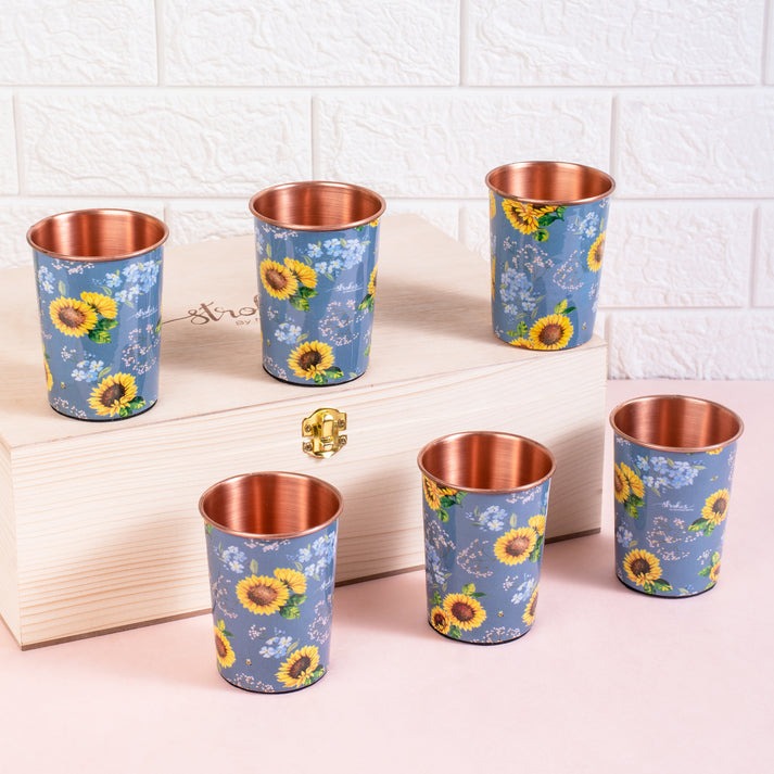 Copper Tumblers - Gift Set 1