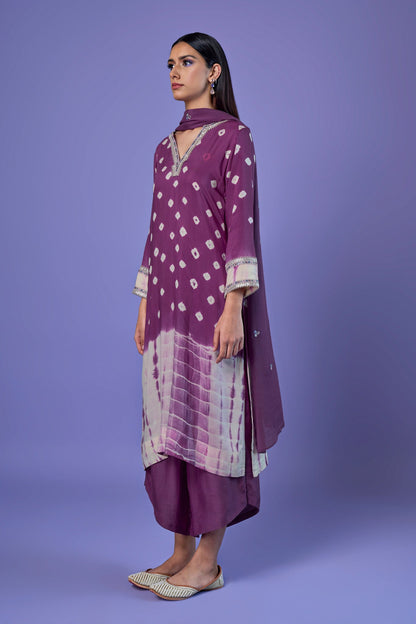 Roshni Kurta Set