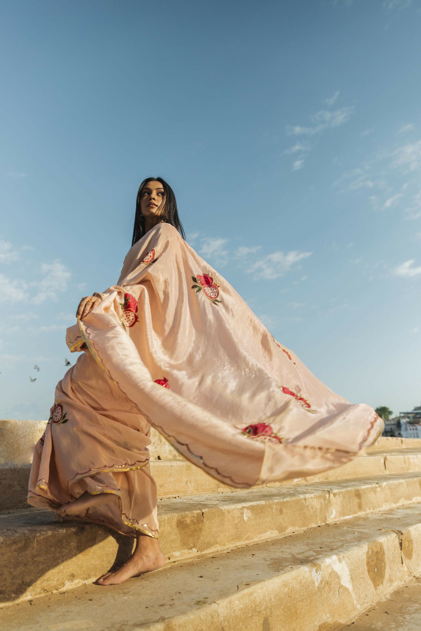 Chandra - Anar Hand painted Saree