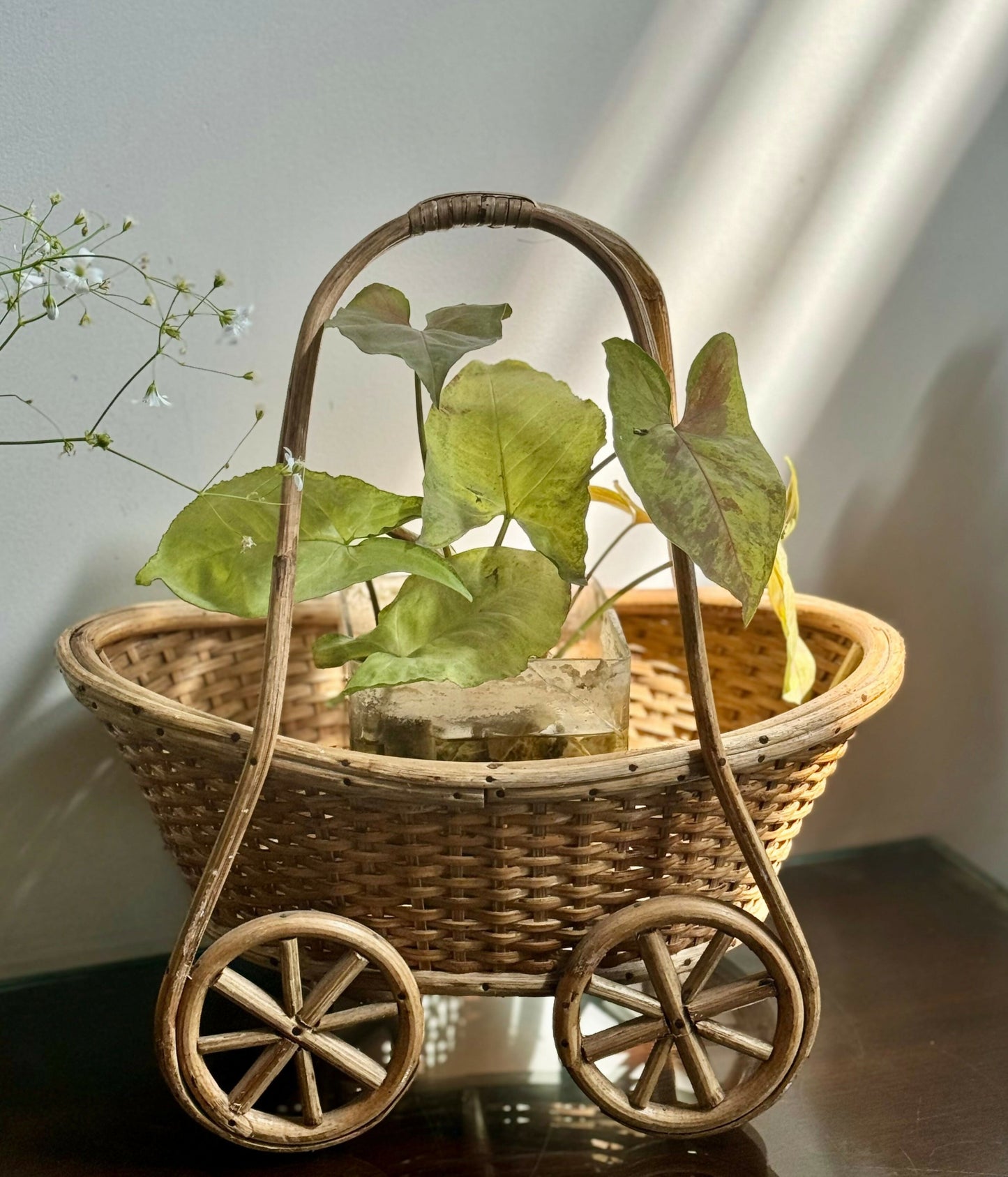 Cane Basket On Wheels