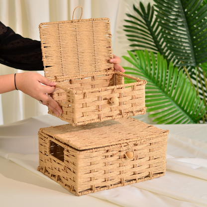 Raffia Storage Boxes with Lid- Set of 2