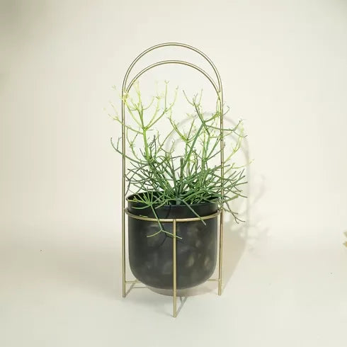 Luna Standing Planter