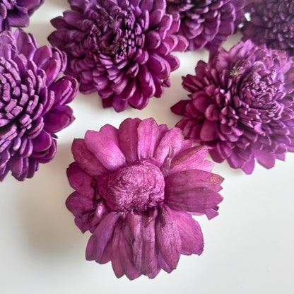 Dark Purple Zinnia Flowers (Wire Stem included)