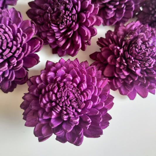 Dark Purple Zinnia Flowers (Wire Stem included)