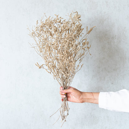 Dried German Statice Grass (100 Grams)