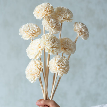 Carnation Sola Flower Sticks (10 sticks)