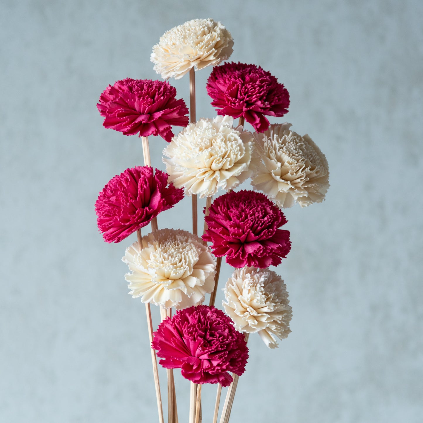 Sola Flowers Set (10 sticks)