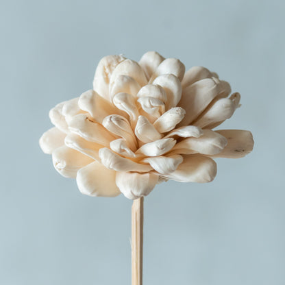 White Sola Fancy Flower Sticks (10 sticks)