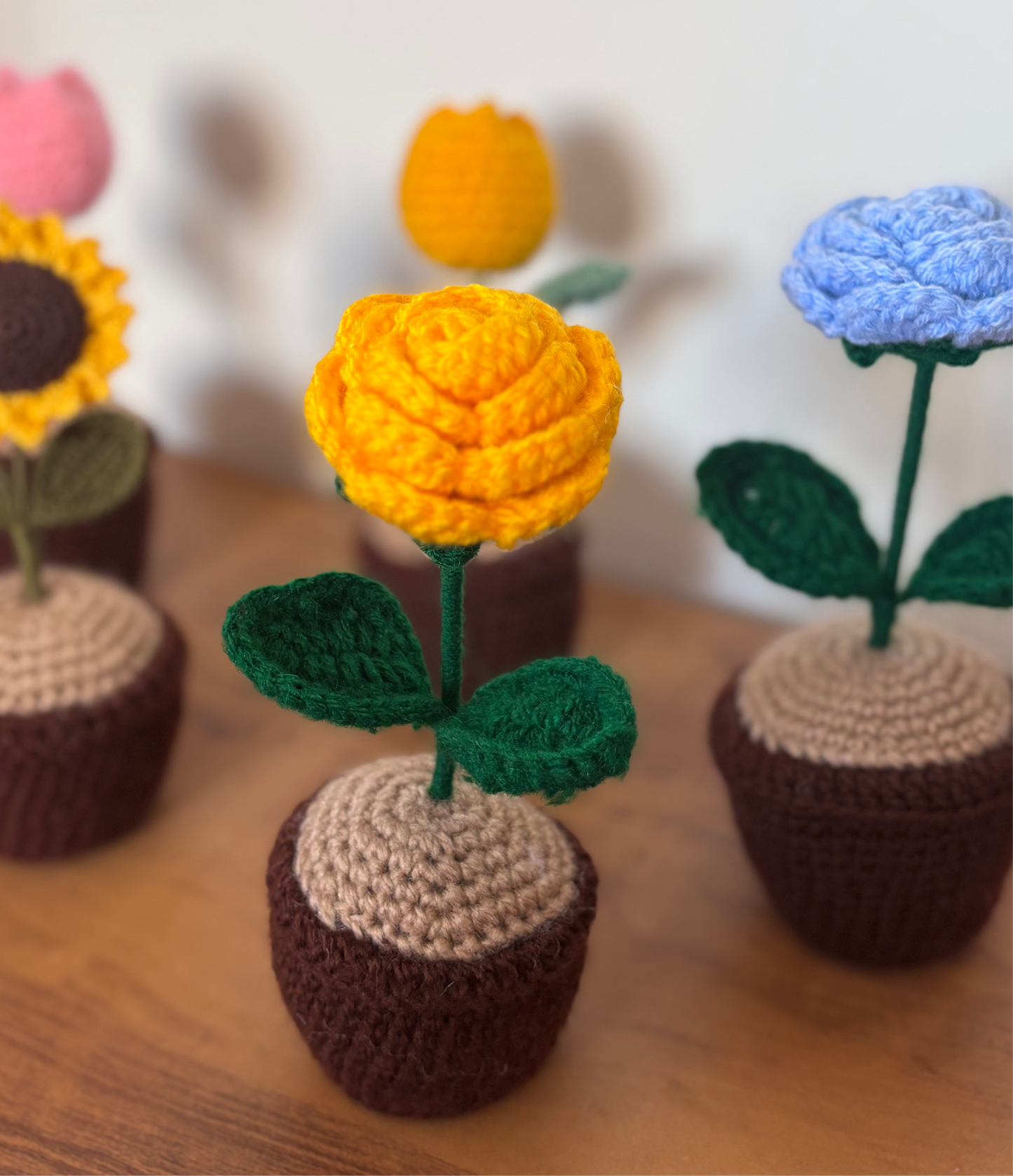 Rose Crochet Pot