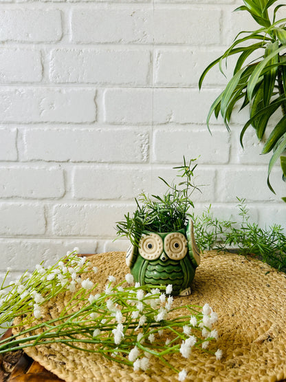 Ceramic Owl Planter