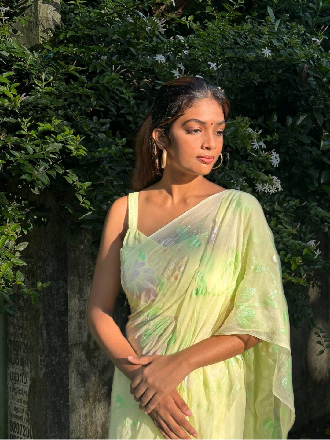 Gulabo Handpainted Chiffon Saree