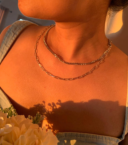 Brooklyn Beauty Double Layered Silver Neckchain