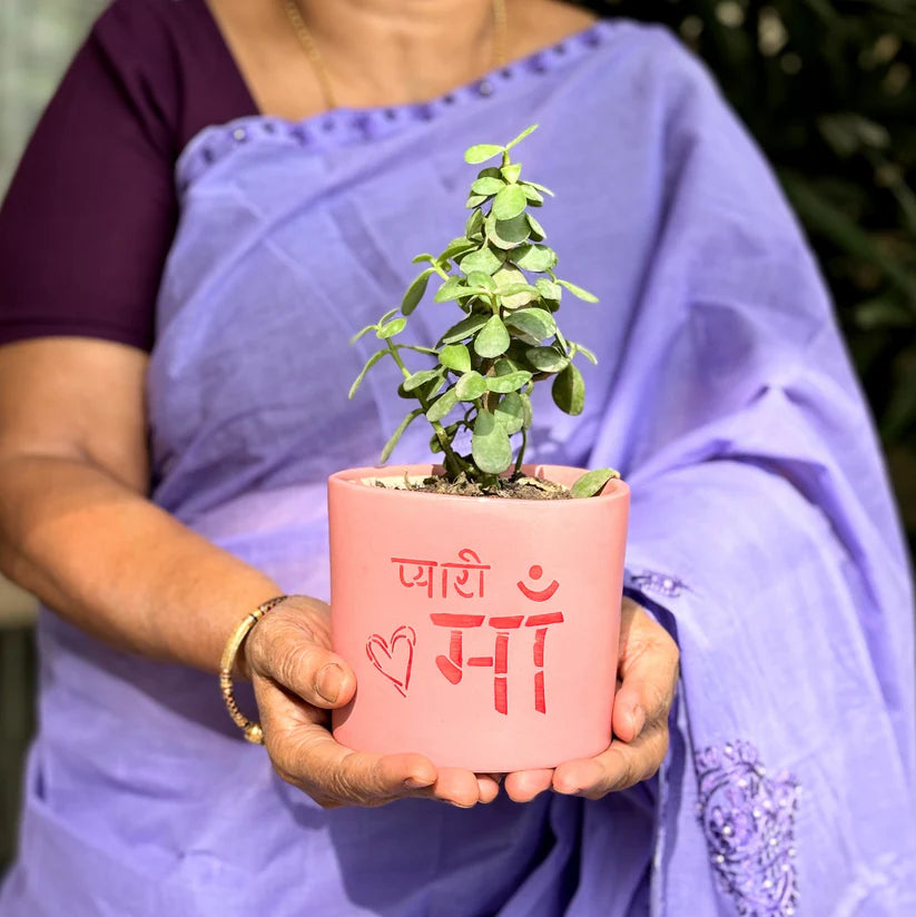 Mother's Love Planter