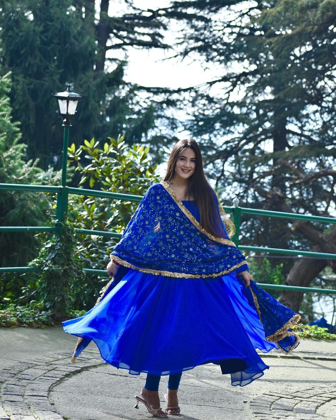 Elegant Anarkali Suit with Intricate Zari Embroidery