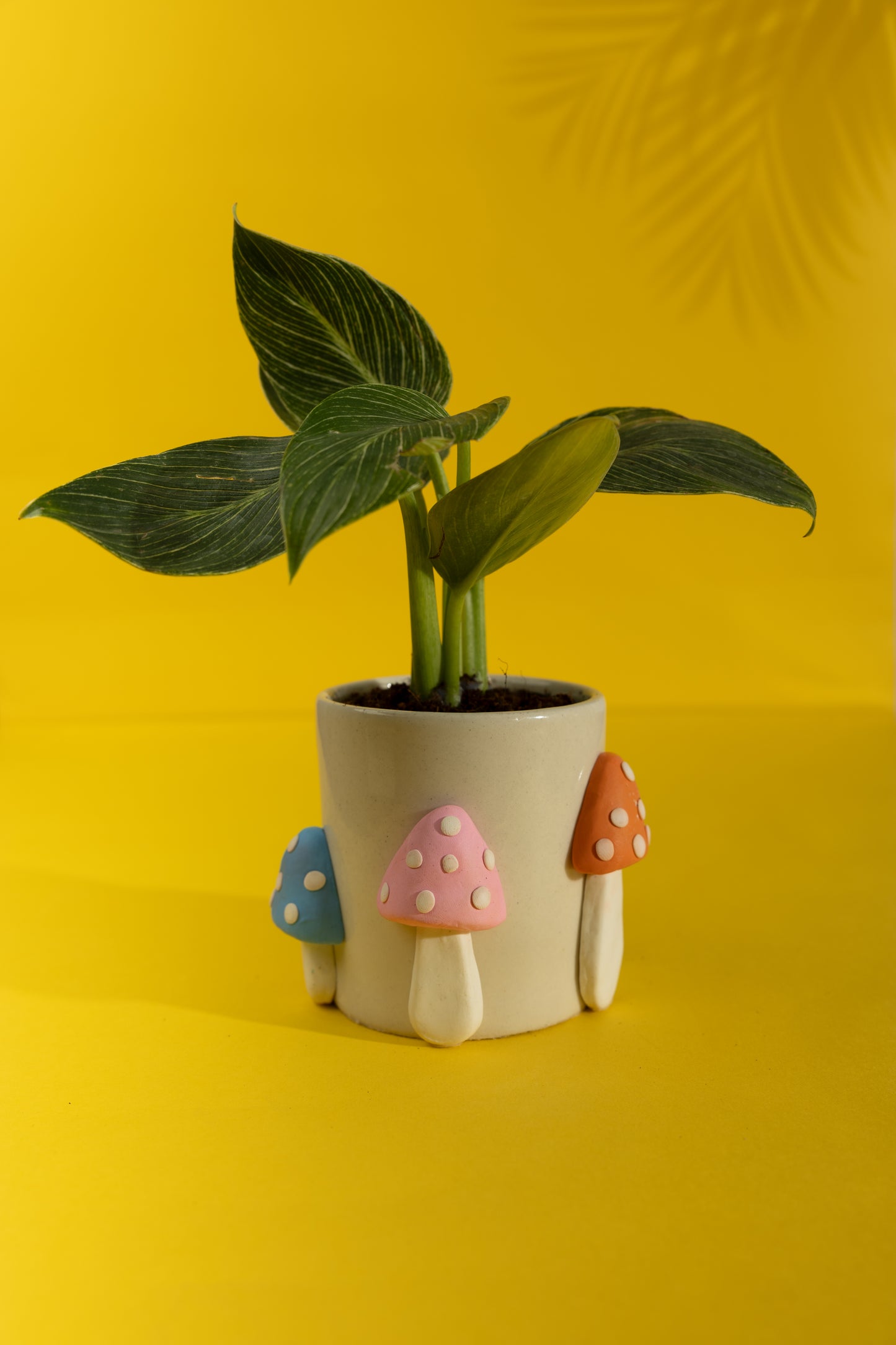 Shroom Boom Ceramic Planter