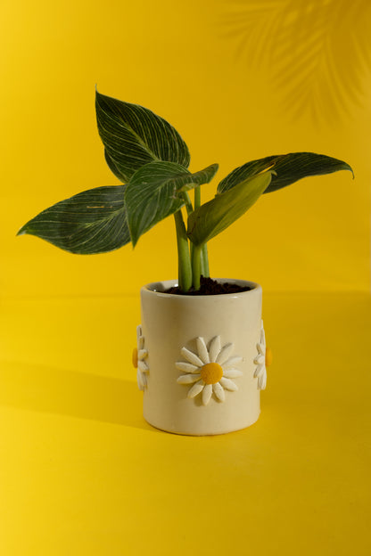 Paradise Ceramic Planter