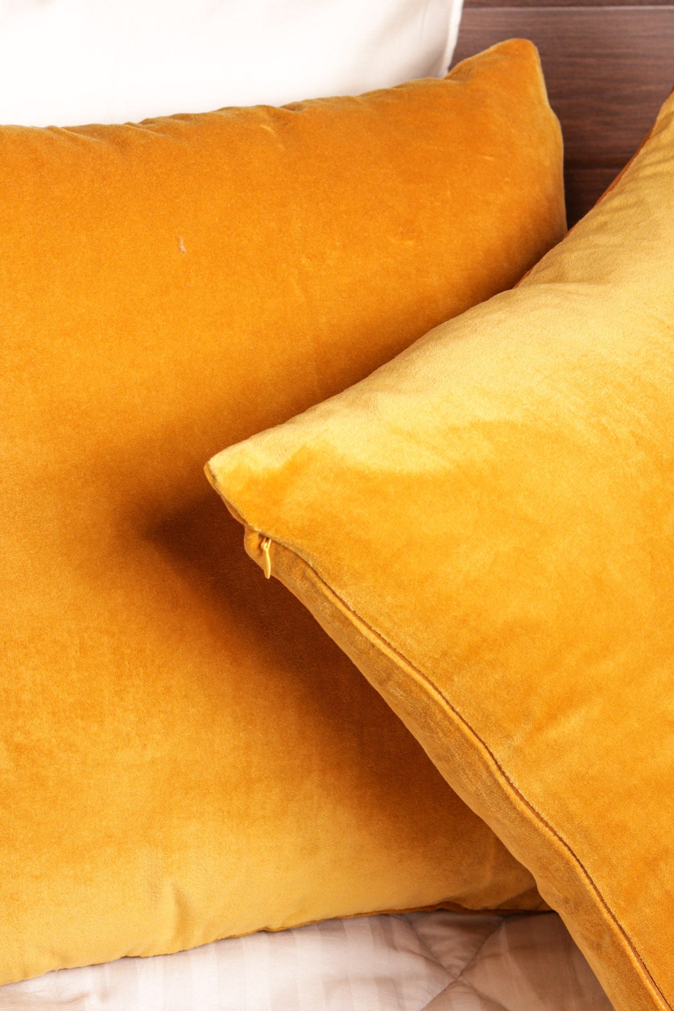 Premium Velvet Cushion Cover