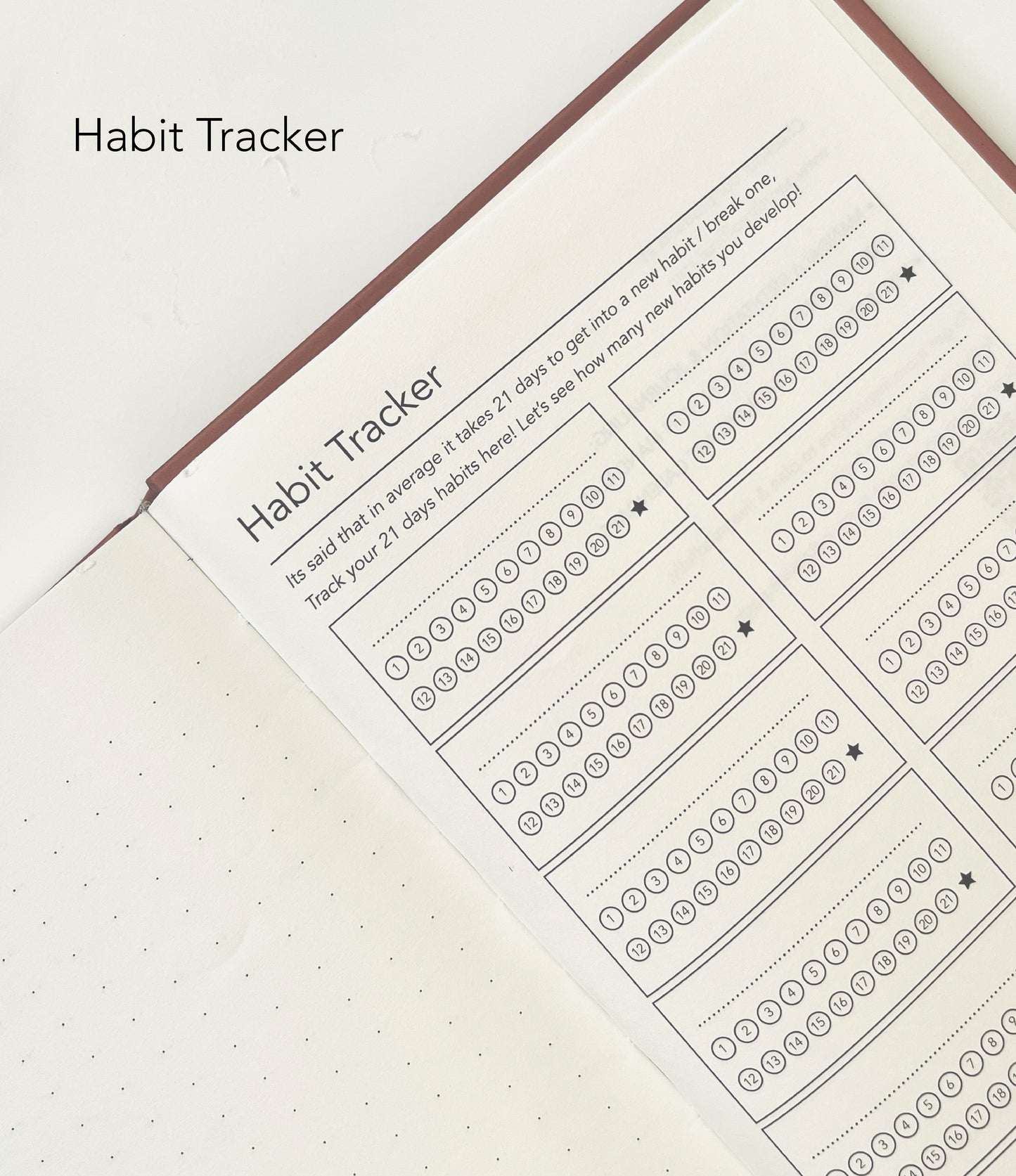 PlanDoReflect: Undated Yearly Planner + Guided Journal | Serene Landscape