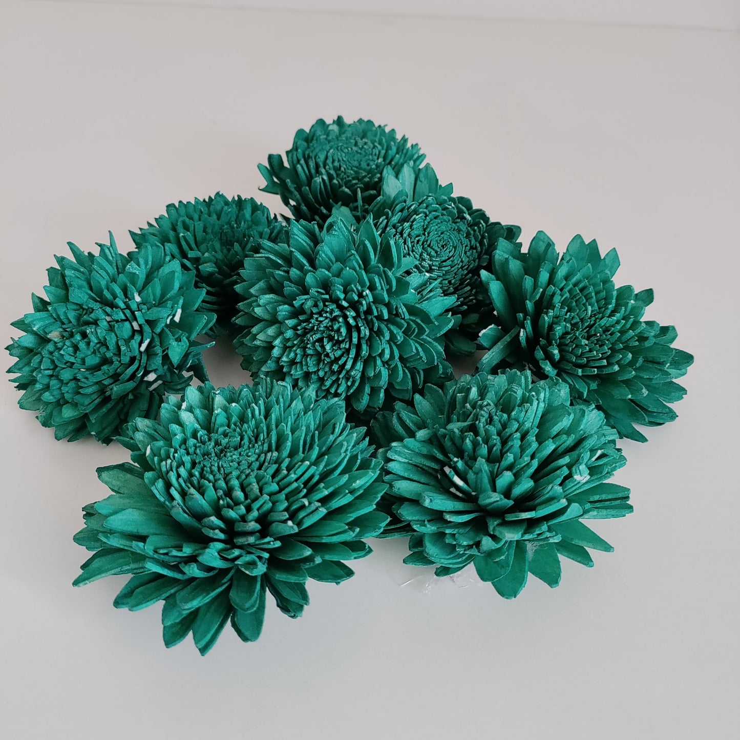 Turquoise Zinnia 8cm Flowers (Wire Stem Included)