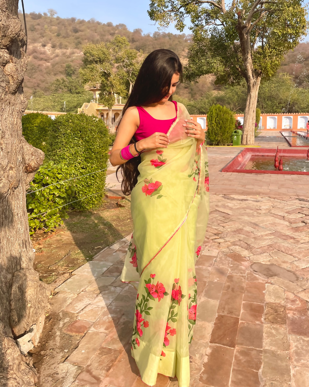 pistachio 'nazaara' hand-painted saree (4)