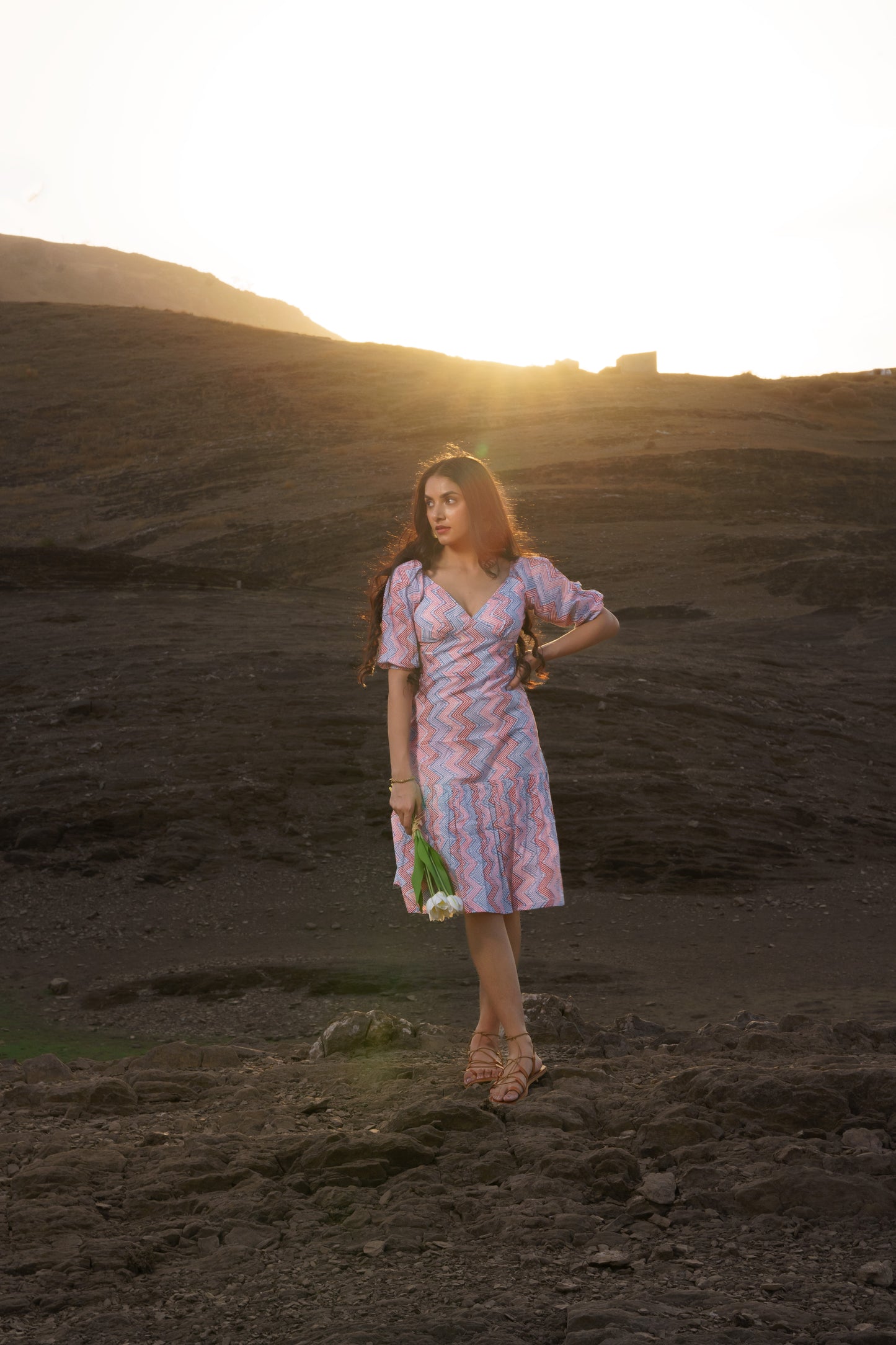 Alizeh Multicolor Chevron Cotton Block Print Shift Dress