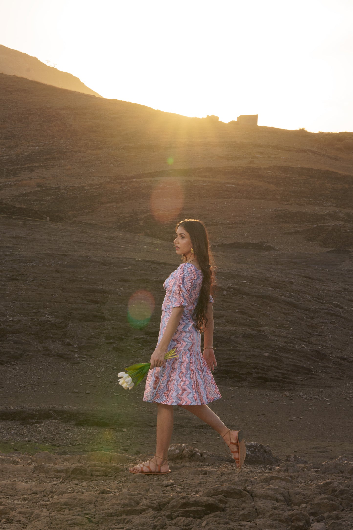 Alizeh Multicolor Chevron Cotton Block Print Shift Dress