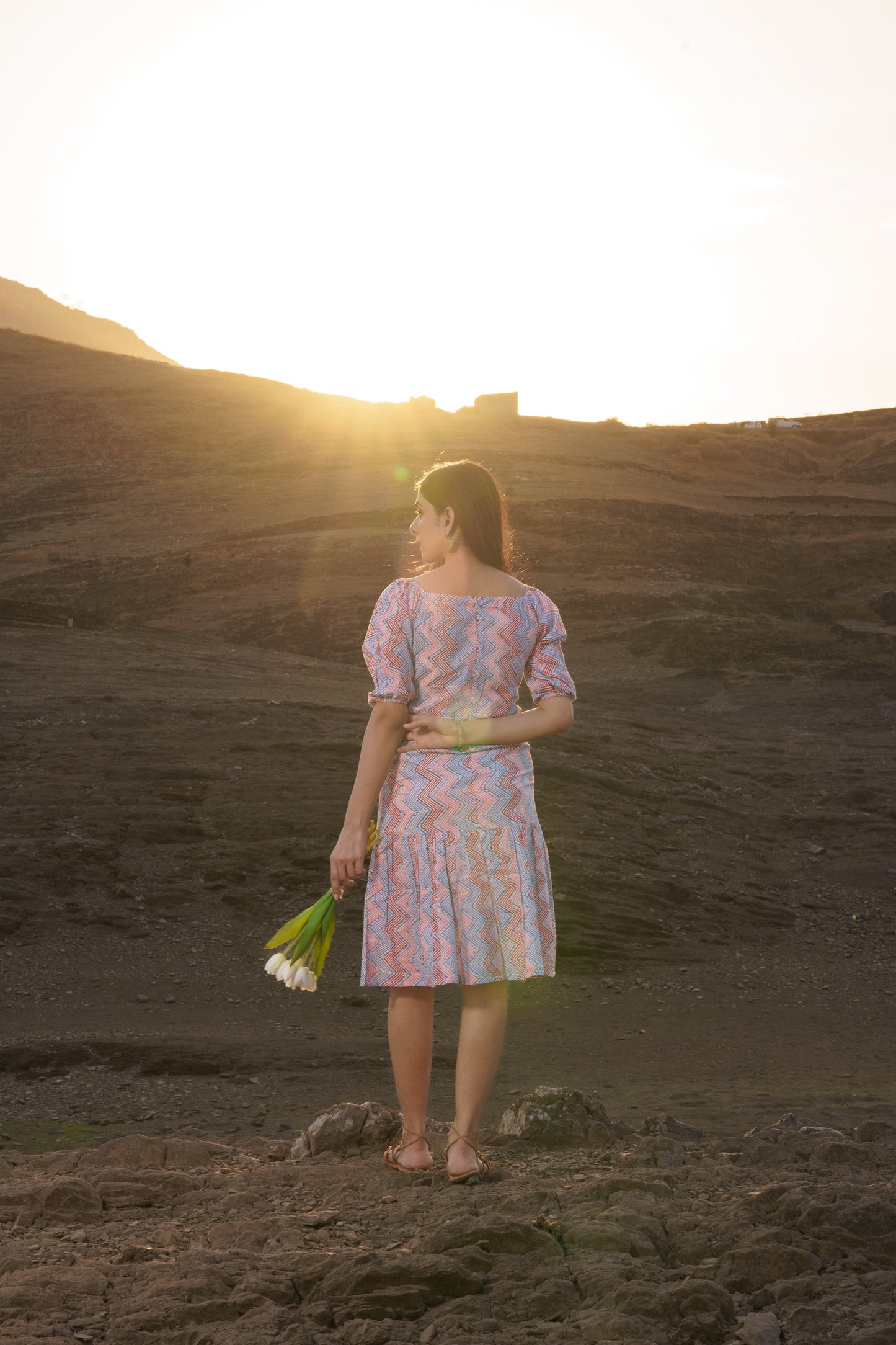 Alizeh Multicolor Chevron Cotton Block Print Shift Dress