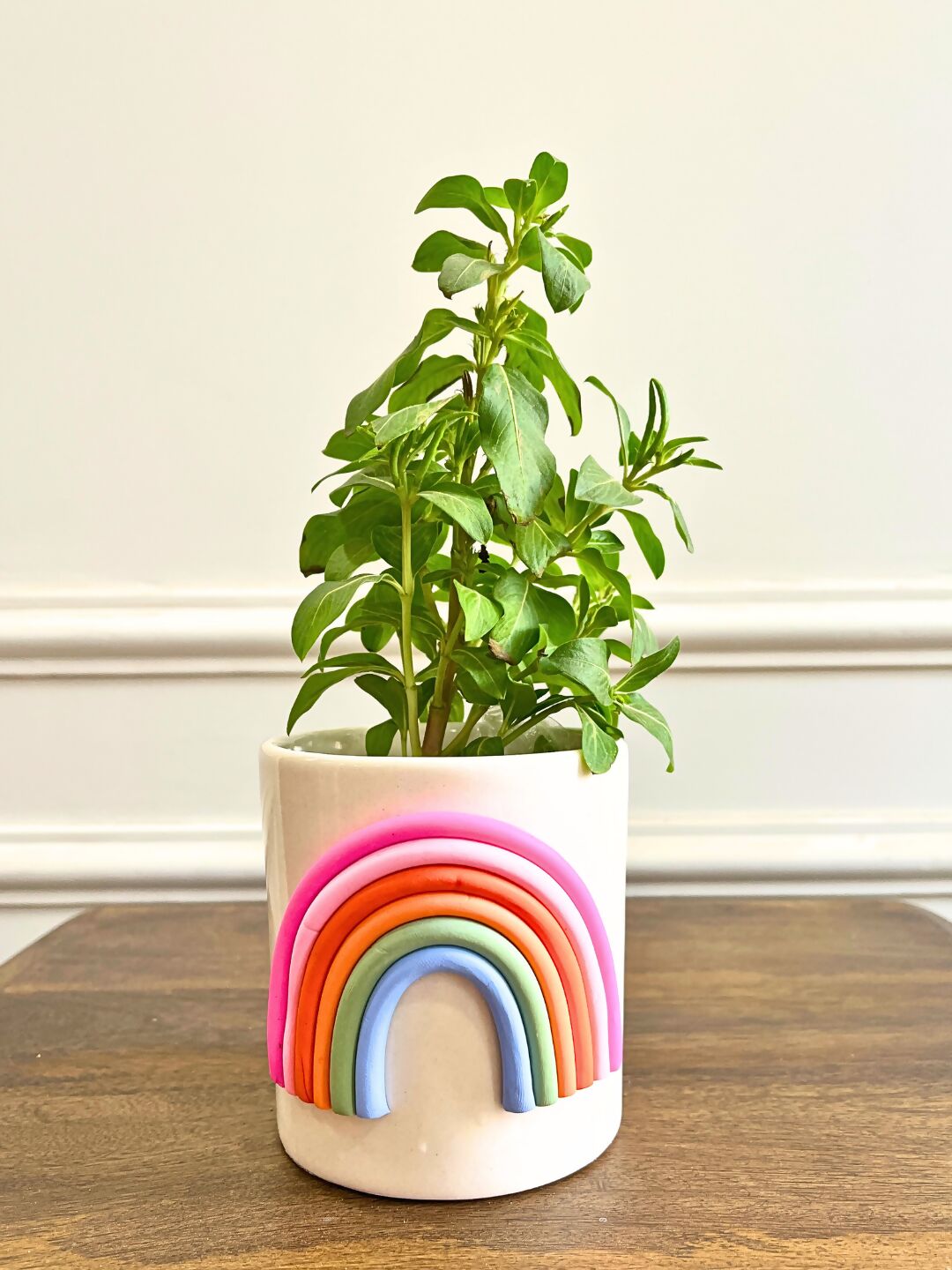 Happy Hues Ceramic Planter