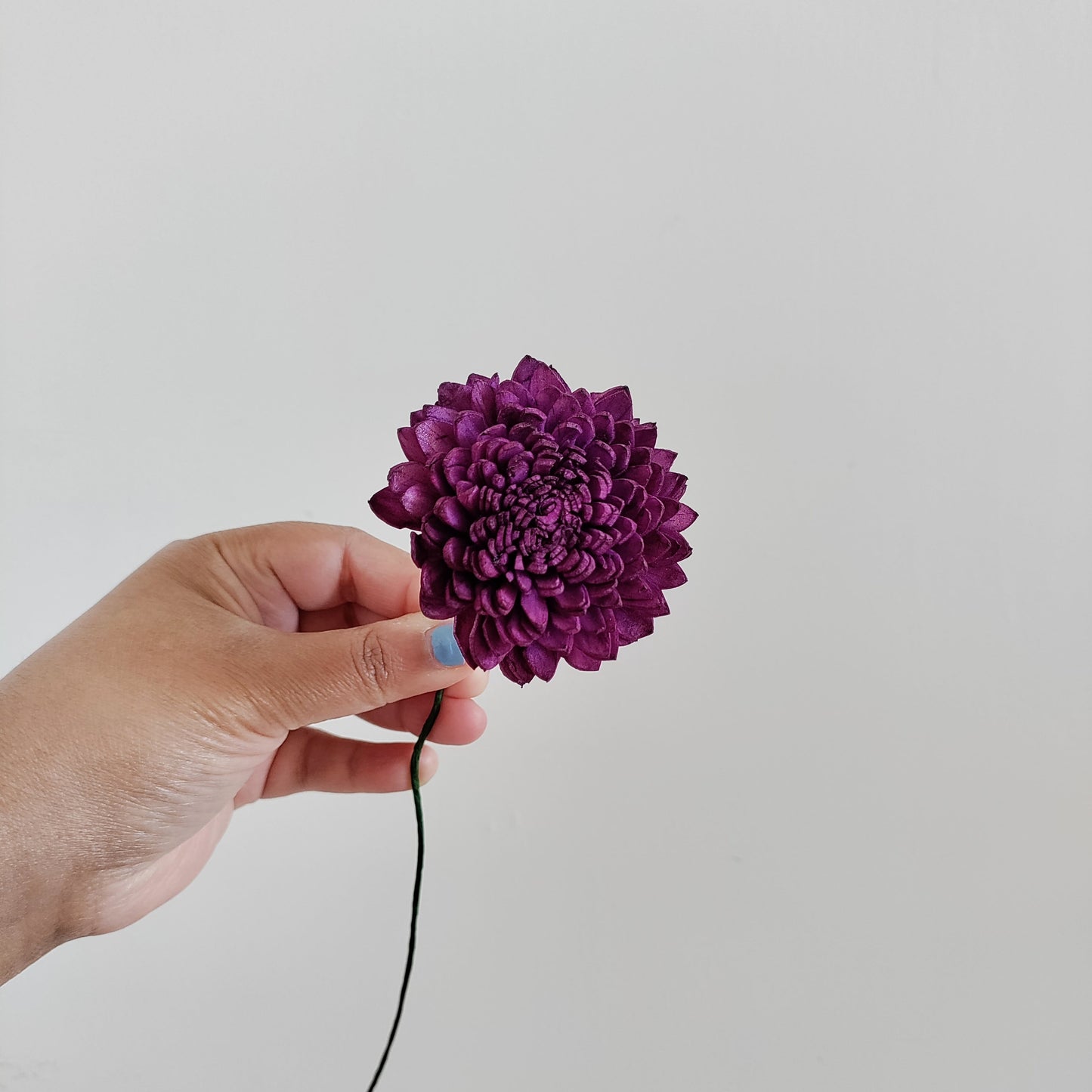 Dark Purple Zinnia Flowers (Wire Stem included)