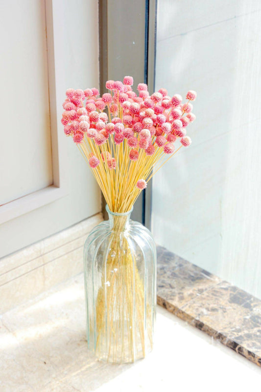 Glass Horizontal Vase