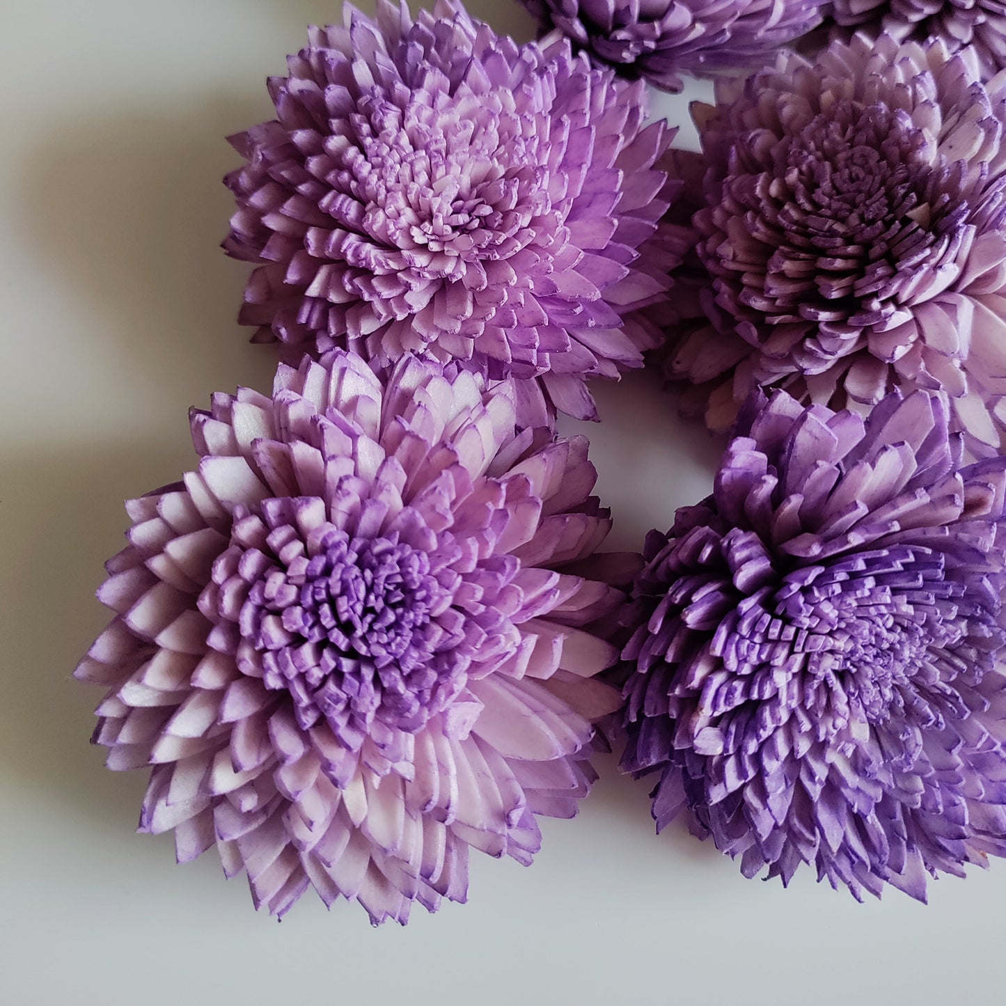 Meadow Bunch (24 Flowers, Wire Stem included)