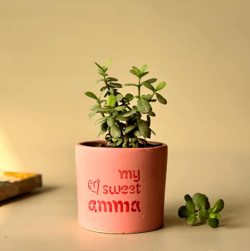 Mother's Love Planter