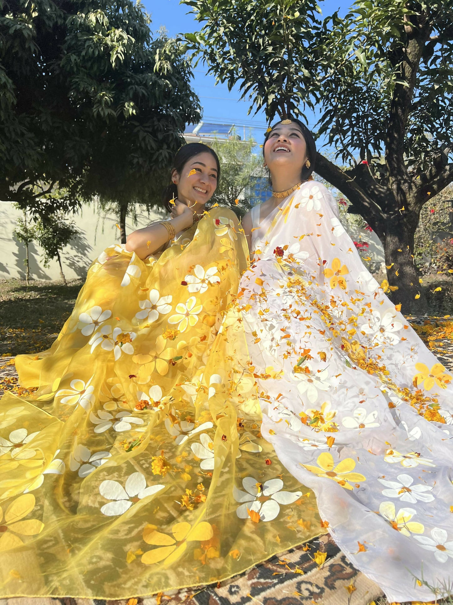 Daisy Organza Handpainted White Saree