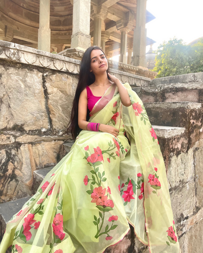 pistachio 'nazaara' hand-painted saree (1)