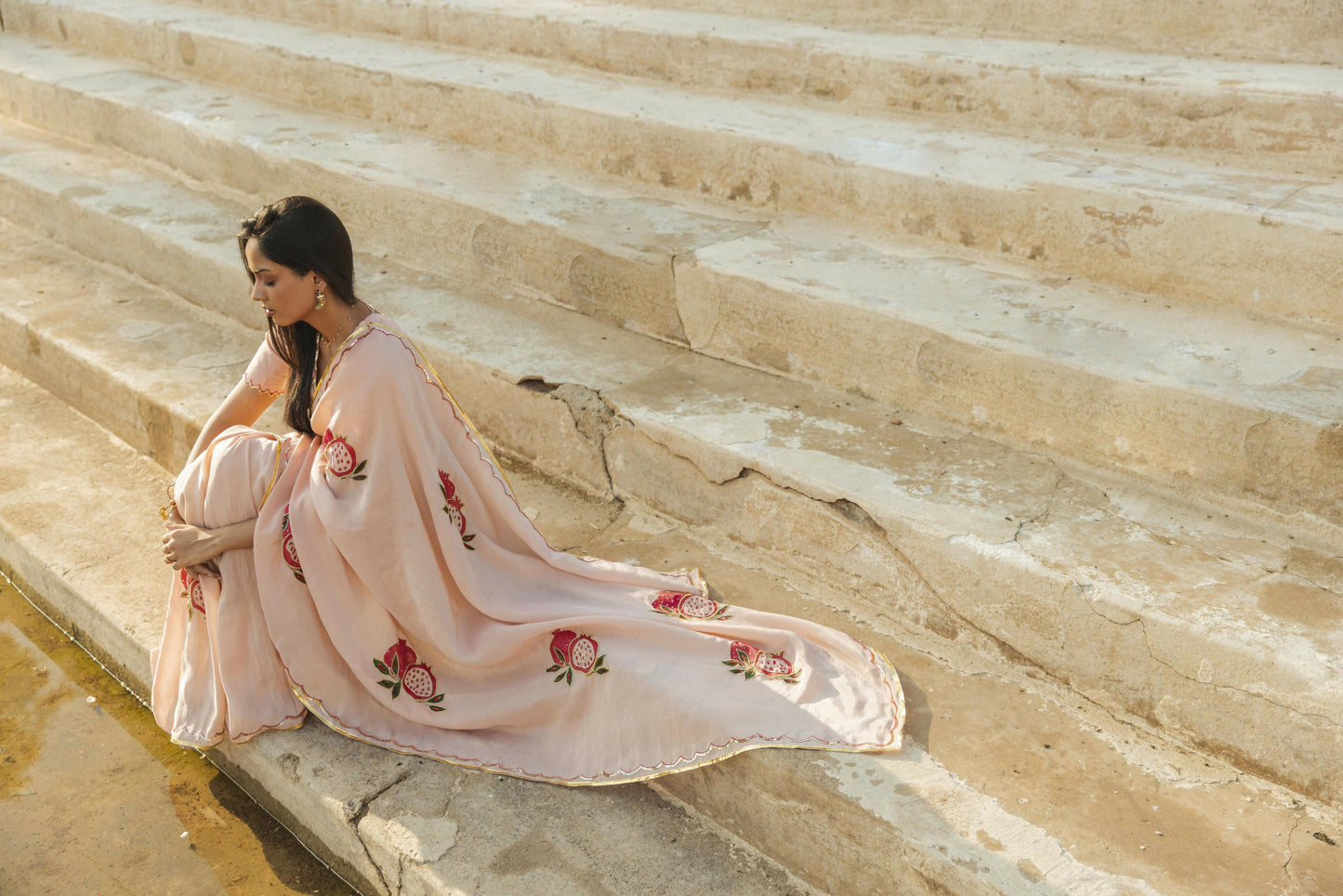 Chandra Tissue Handpainted And Handembellished Saree