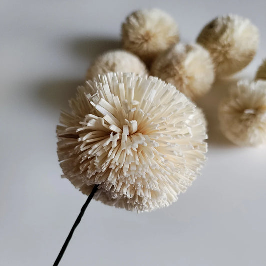 White Pom Pom Flowers (Wire Stem included)