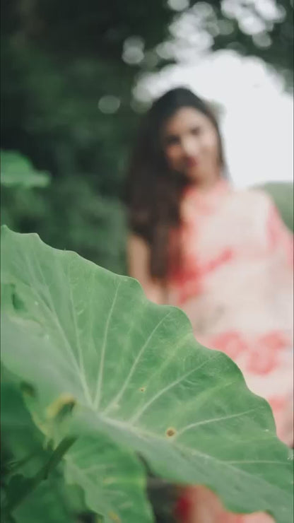 Dogwood Hand Painted Saree in Peach